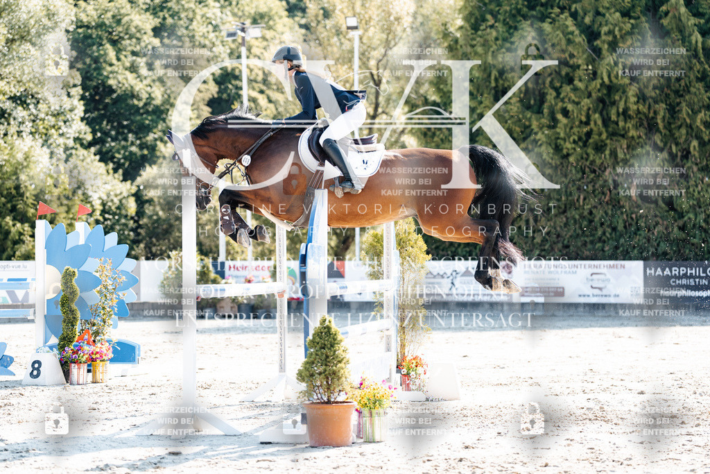 CK902205 | Turnierfotografie Pferdefotografie Trier Rheinland-Pfalz Pferdesport Reitsport Tierfotografie Sportfotografie Pferdevideo Pferdevideografie Equestrianvideography equestrianphotography  - Realisiert mit Pictrs.com