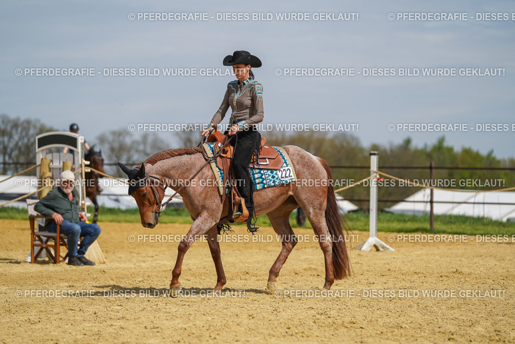 DSC04952 | Pferdegrafie