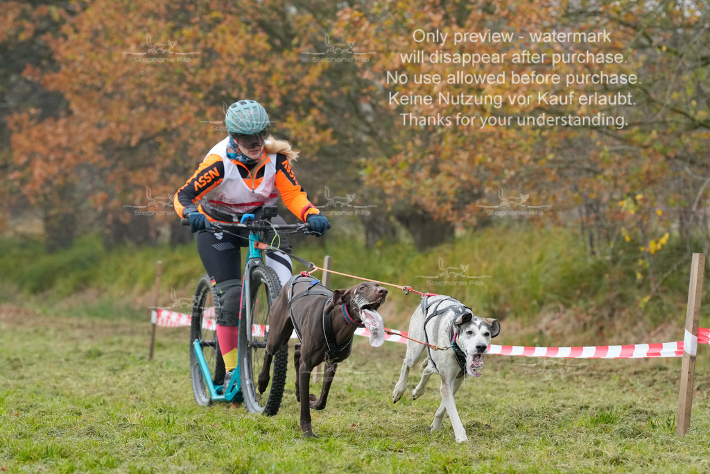 Visbeck_Sa_DS2DR2-31 | stephaniefillaphotographie - Realisiert mit Pictrs.com