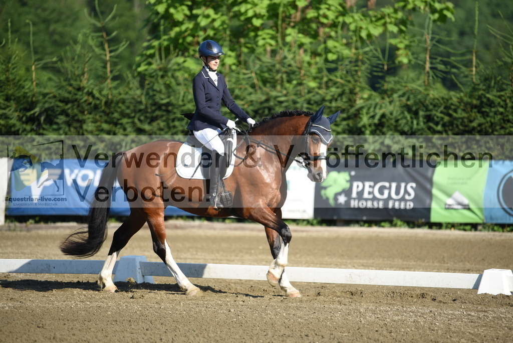 DSC_6853 | equestrian-live-com