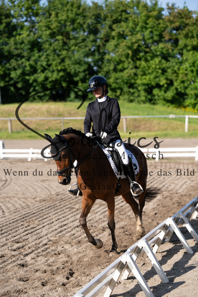 A7V02206 | Pferdefotograf