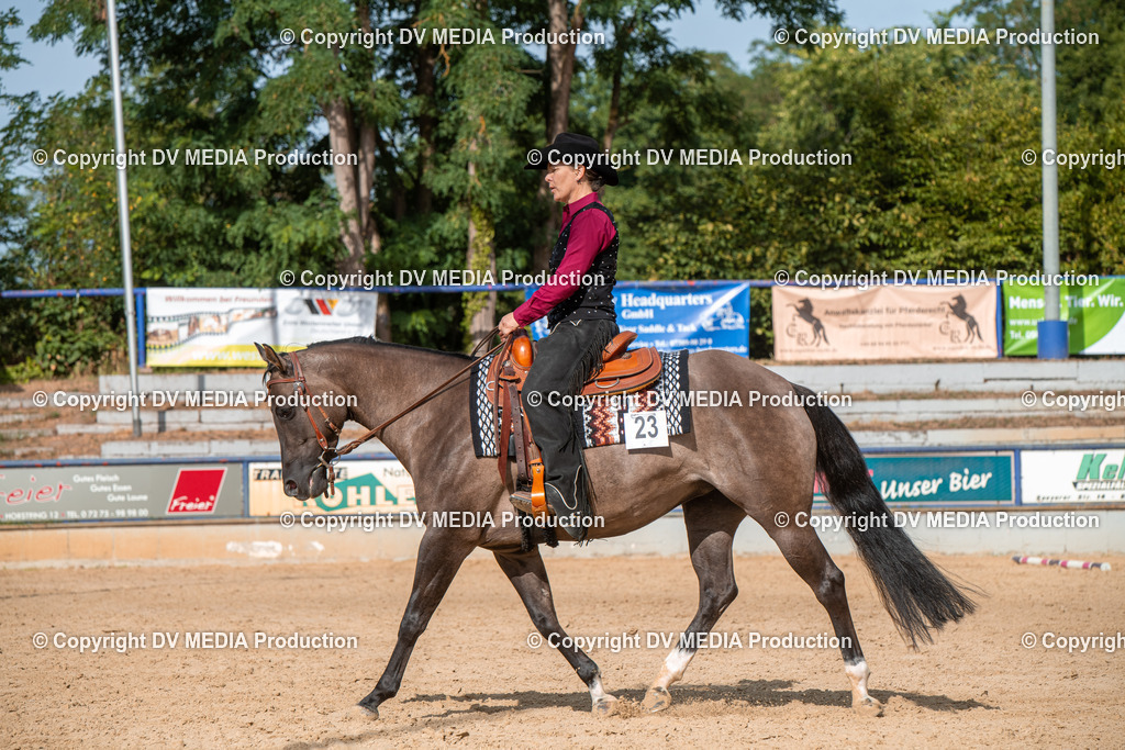 EWP_5813 | dv-media-shop - Realisiert mit Pictrs.com