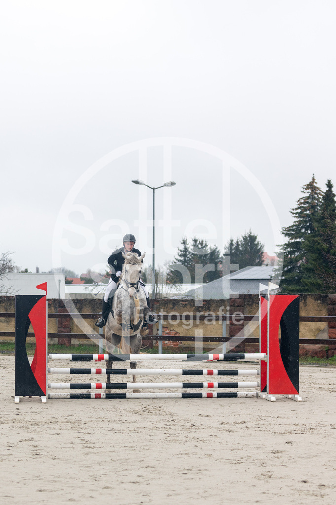 DSC_8336 | sattelsport - Realisiert mit Pictrs.com