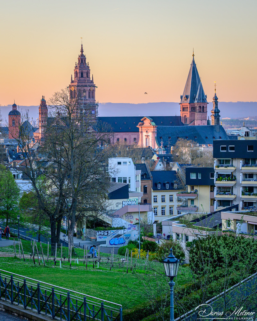 Der Mainzer Dom St Martin | Der hohe Dom St Martin zu Mainz