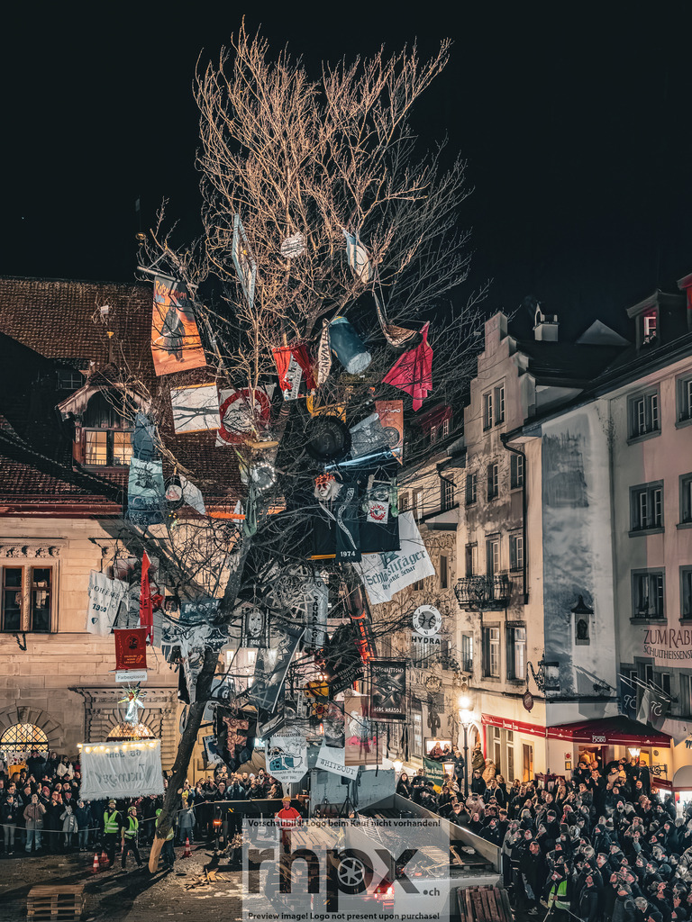 Guuggerbaum 2026 | Stimmungsvolle Fotokunst aus Luzern. Erlebe den Pilatus, den See und die Stadt Luzern in exklusiven Aufnahmen in der Fotogalerie & Shop. - Realisiert mit Pictrs.com
