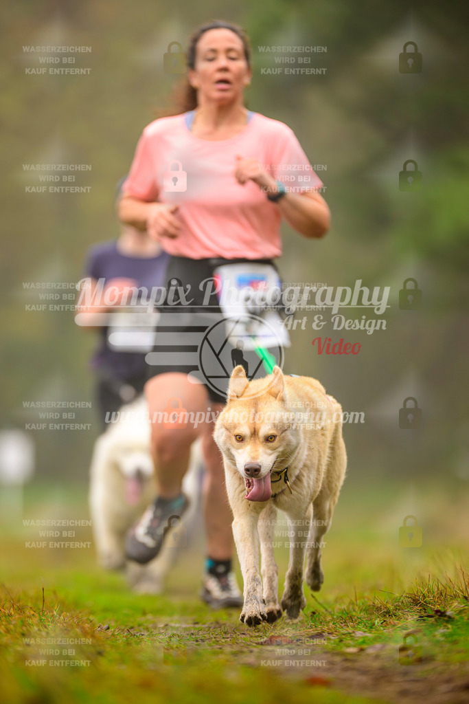 MompixPhotography_Bischwiller2025_Canicross-129 | mompixphotography