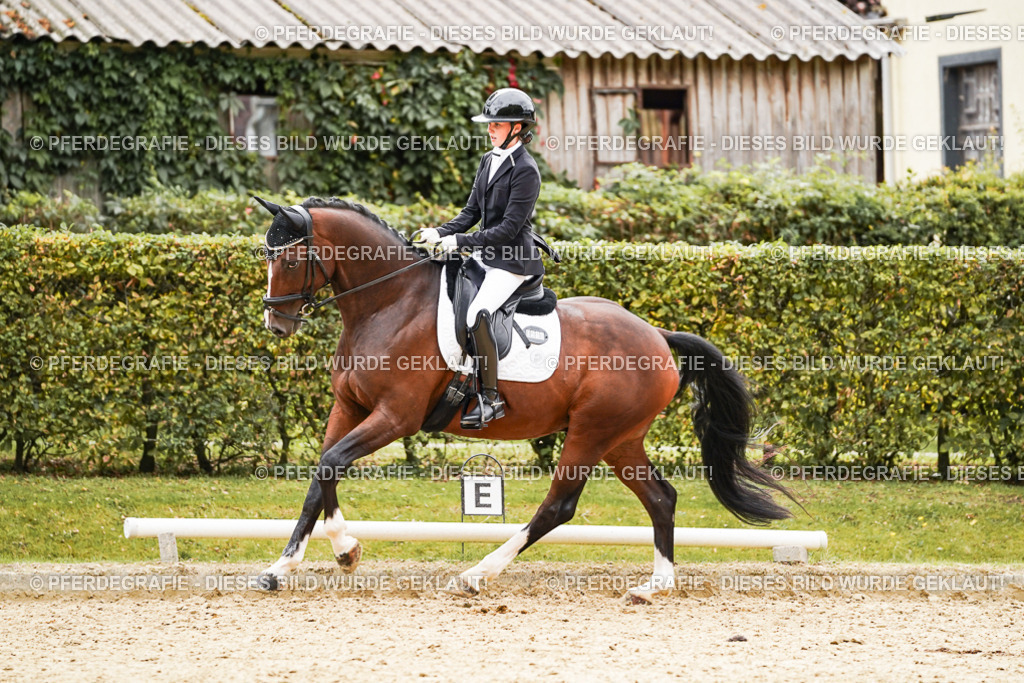 DSC03042 | Pferdegrafie