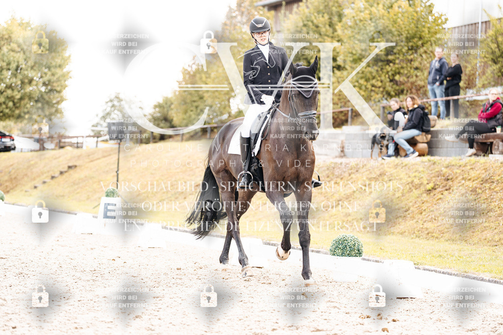CK901778 | Turnierfotografie Pferdefotografie Trier Rheinland-Pfalz Pferdesport Reitsport Tierfotografie Sportfotografie Pferdevideo Pferdevideografie Equestrianvideography equestrianphotography  - Realisiert mit Pictrs.com