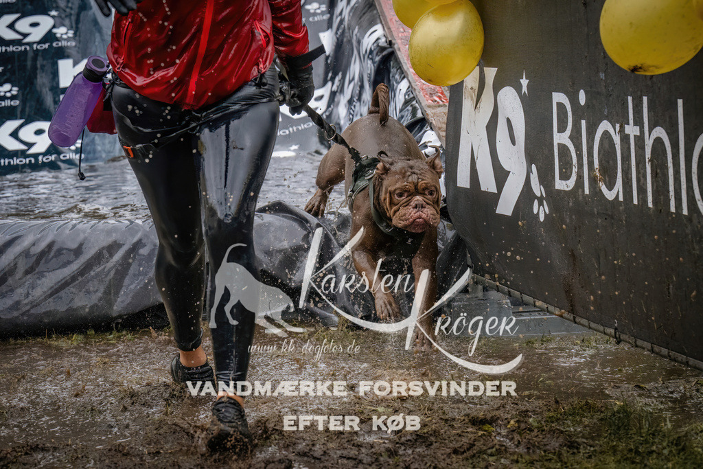 1237_ZZ90309 | kk-dogfotos