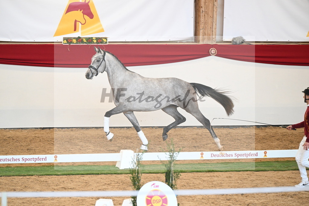 Kat.-Nr. 72 v. Johnson_Lehner_2250611 | hf-fotografie - Realisiert mit Pictrs.com