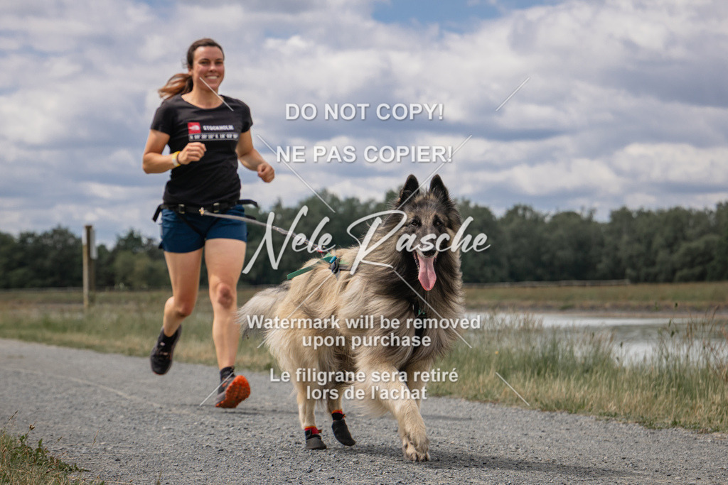 nelerasche_BuHu2026_SaCC1100-1200_214 | nelerasche