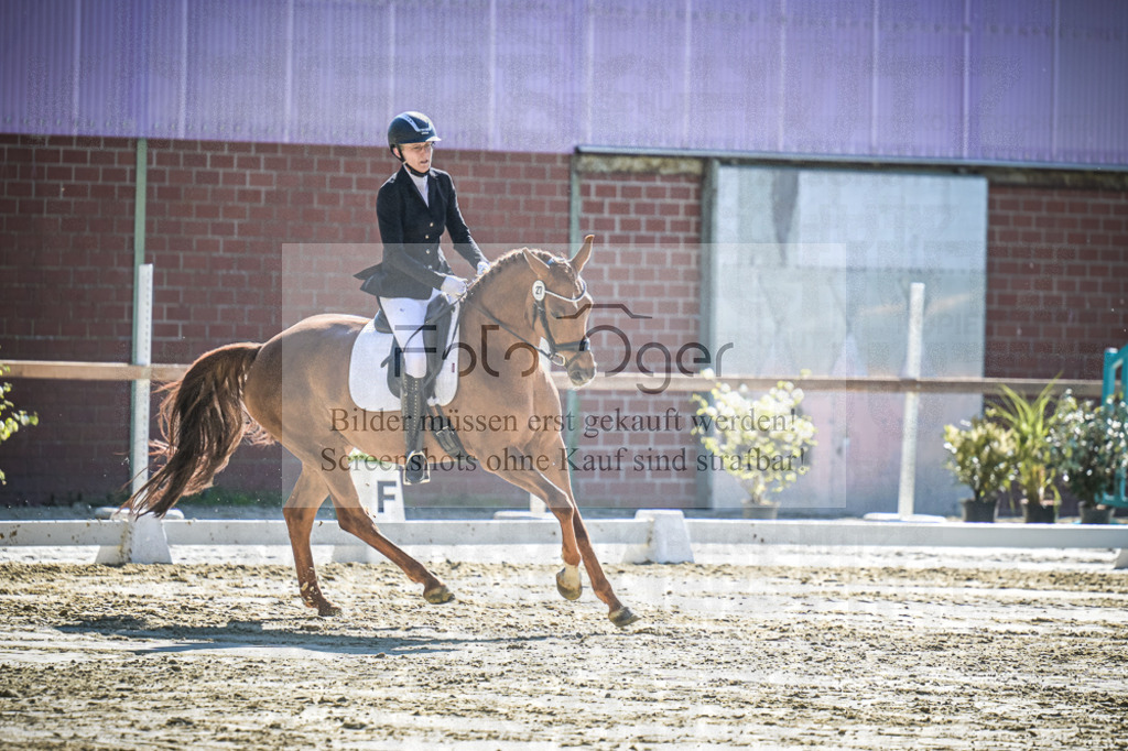 DOS_2805 | Entdecke hochwertige Reitturnierfotos von Foto Oger. Professionell, emotional und authentisch – jetzt Lieblingsmomente im Shop bestellen.Deutschlandweite Turnierfotografie. - Realisiert mit Pictrs.com