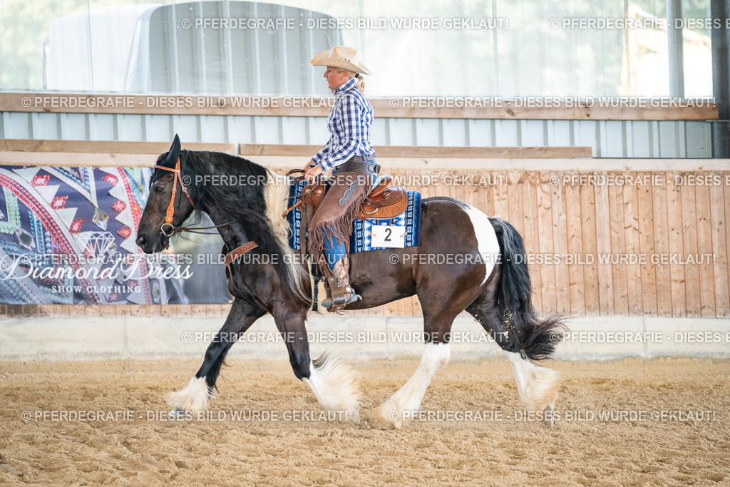 DSC03597 | Pferdegrafie