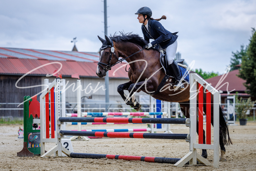 20260705-_3LI3620 | Tierfotografie Pferde, Hunde, Katzen, Haustiere.
Turnierfotografie Reitturniere, Reiten, Springreiten, Dressur in Hanau, dem Main-Kinzig-Kreis und dem Rhein-Main- Gebiet um Frankfurt