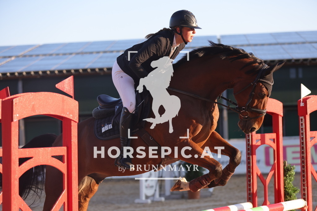 0P6A8481 | Willkommen bei Brunnmayr - Design & Fotografie – Ihrem Spezialisten für Reitturniere und Pferdeveranstaltungen in Oberösterreich, Salzburg und Bayern! Seit über 17 Jahren sind wir leidenschaftlich dabei.