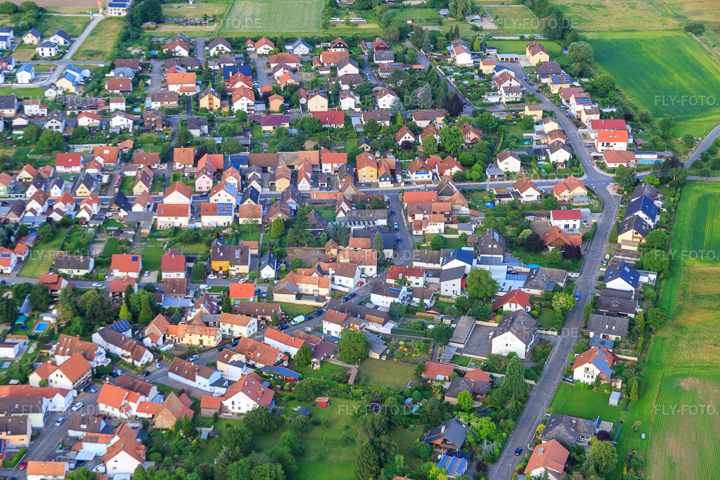 Luftbild: Im Leisengarten in Minfeld im Bundesland Rheinland-Pfalz in Deutschland. Foto: IMG_090272.jpg vom 26.06.2016 durch Werner Riehm/FLY-FOTO.de