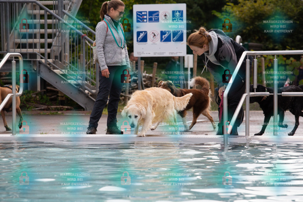 _HP_7535_1000o | HetPix, HetPix Fotodesign, Fotografie, Fotodesign, Webshop, Sportfotografie, Portraitfotografie, Onlineshop, Sportfotografie, Polch, Motorsportfotografie, Eventfotografie