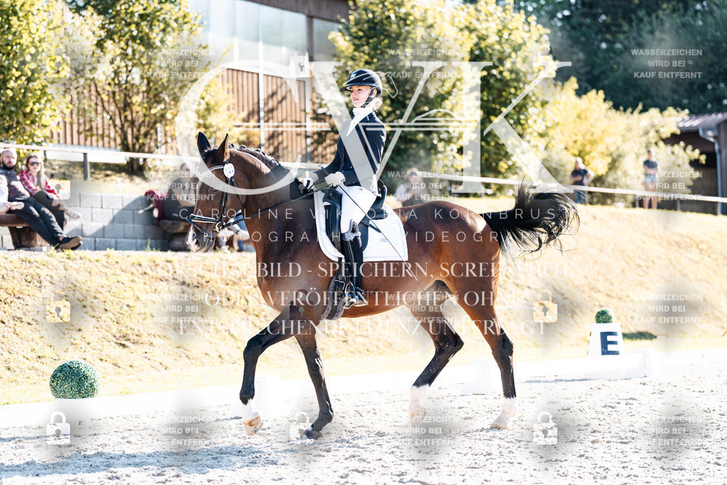 CK906495 | Turnierfotografie Pferdefotografie Trier Rheinland-Pfalz Pferdesport Reitsport Tierfotografie Sportfotografie Pferdevideo Pferdevideografie Equestrianvideography equestrianphotography  - Realisiert mit Pictrs.com