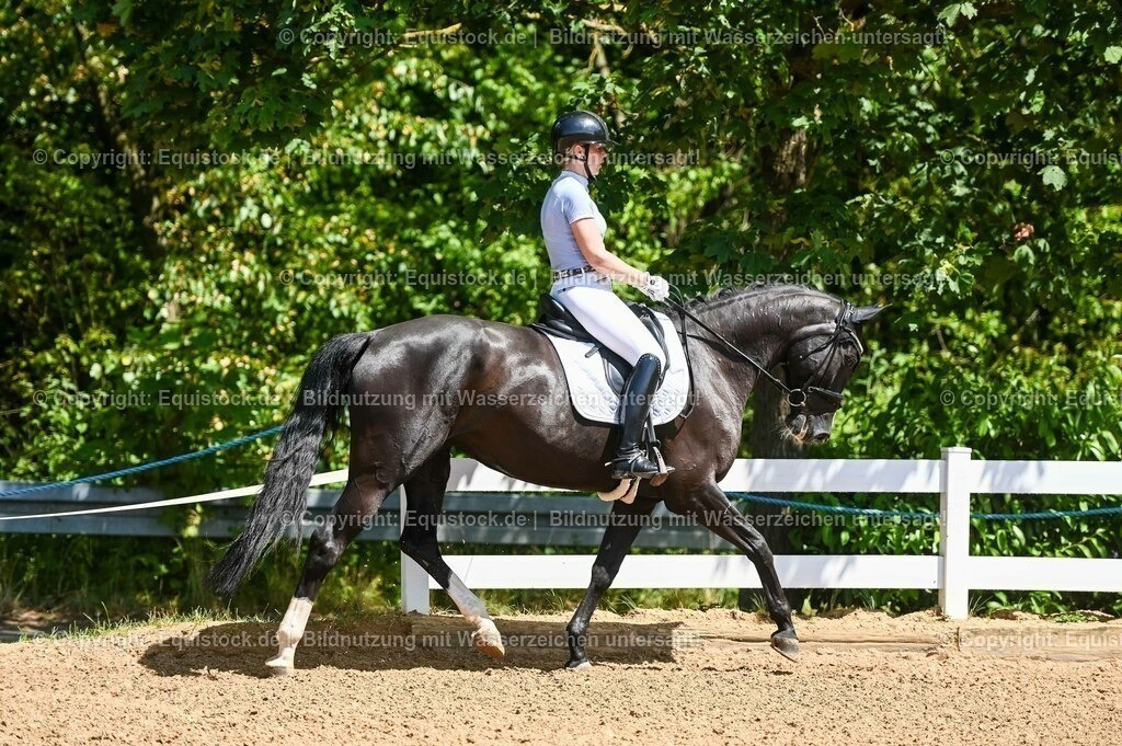 20230715_02_Dressurreiterprüfung Kl.L_0019 | equistock