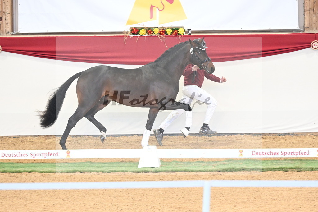 Kat.-Nr. 53 v. Feinsten_Kratzberg_3260536 | hf-fotografie - Realizzato con Pictrs.com