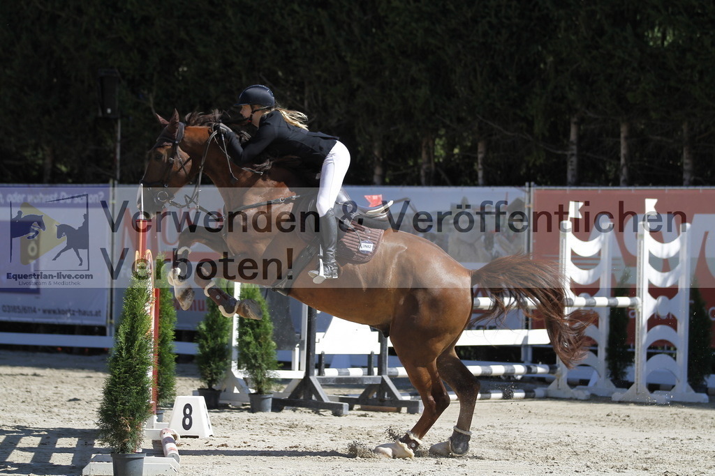 _MG_4509 | equestrian-live-com