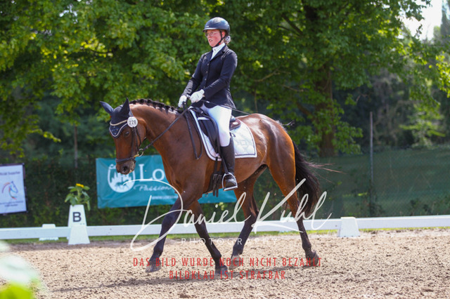 DKP42460 | Turniersportfotografie; Pferdefotografie; Dressurfotografie