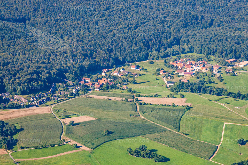 Aerial view: Pfaffenbronn in Lembach in the state Bas-Rhin, France.Photo: IMG_31095.jpg taken on 08/07/2010 by Werner Riehm/FLY-FOTO.comResolution of the original: 4752 x 3168 px