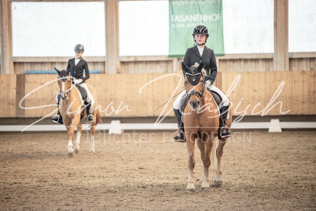20251011-_3LI6665 | Tierfotografie Pferde, Hunde, Katzen, Haustiere.
Turnierfotografie Reitturniere, Reiten, Springreiten, Dressur in Hanau, dem Main-Kinzig-Kreis und dem Rhein-Main- Gebiet um Frankfurt
