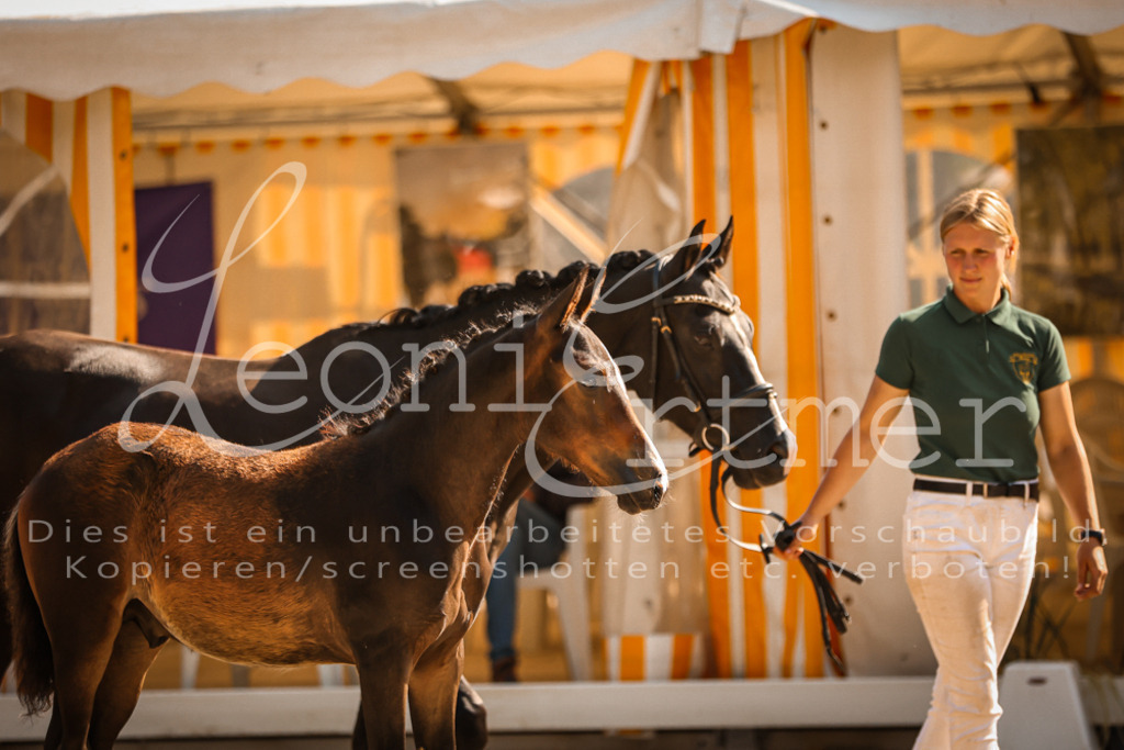 11.DoRP00059 | Leoni Ertmer Photography - Realisiert mit Pictrs.com