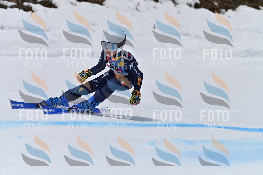 BGV_3936 | holidayphoto