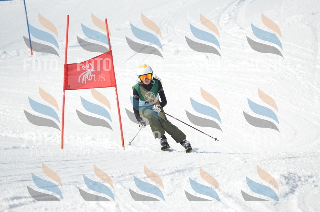 D8833 | holidayphoto