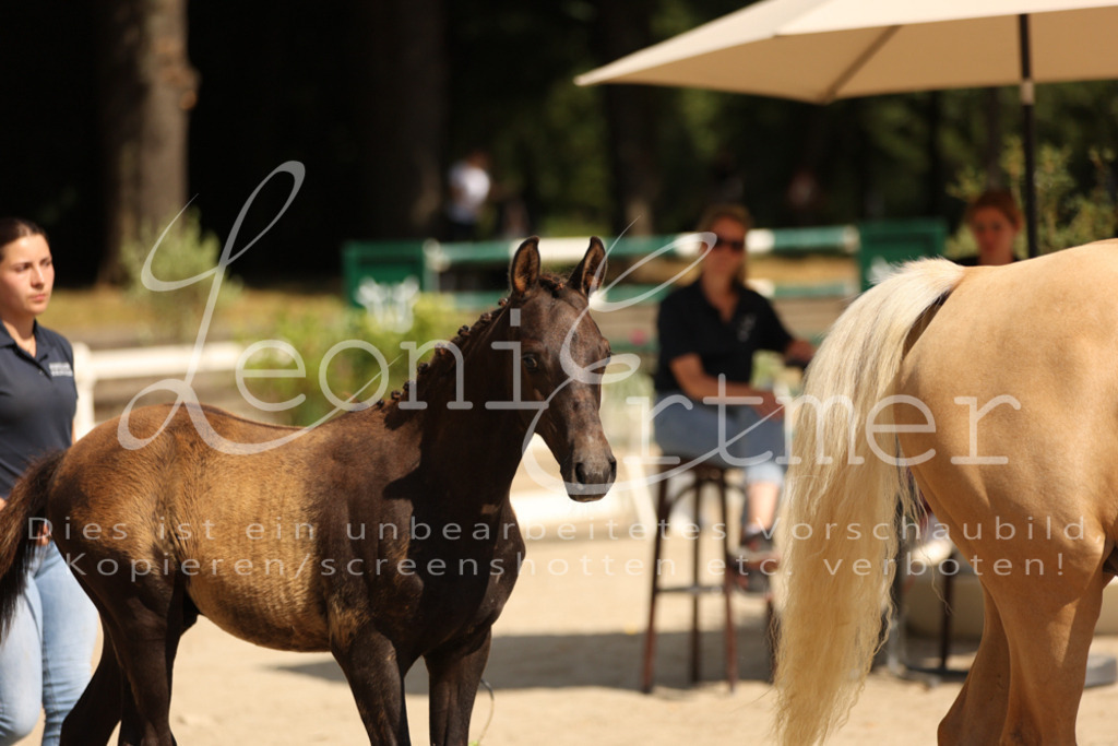 08.DoRPS00038 | Leoni Ertmer Photography - Realisiert mit Pictrs.com