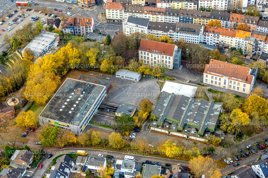 Hagen251102441 | Luftbild, Liselotte-Funcke-Schule, Schule Käthe-Kollwitz-Berufskolleg Gebäude, Remberg Sporthalle, herbstliche Bäume, Mittelstadt, Hagen, Ruhrgebiet, Nordrhein-Westfalen, Deutschland