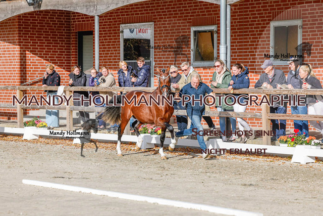 DR (935 von 1791) | mandyhollmannphotographie