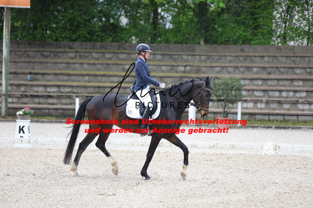 A40A8392 | lmwpictures - Realisiert mit Pictrs.com