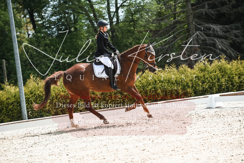 20230518_JK-Röhrsdorf-11-0294 | Pferde- und Turnierfotografie in Westsachsen. Pferdeportraits, Auftragszeichnungen und intuitive Kunst.