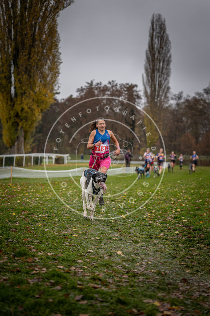 CaniXpix_DV3A9024 | Hundefotografie, Tierfotograf, Pfotenfotografie, Fotoshooting Hund, Hunde Portrait, Hundesport, Hundeportraits, Heideshooting, Hunde, Sportfotograf, Hundefotograf, Turnierhundsport, THS,  - Realisiert mit Pictrs.com