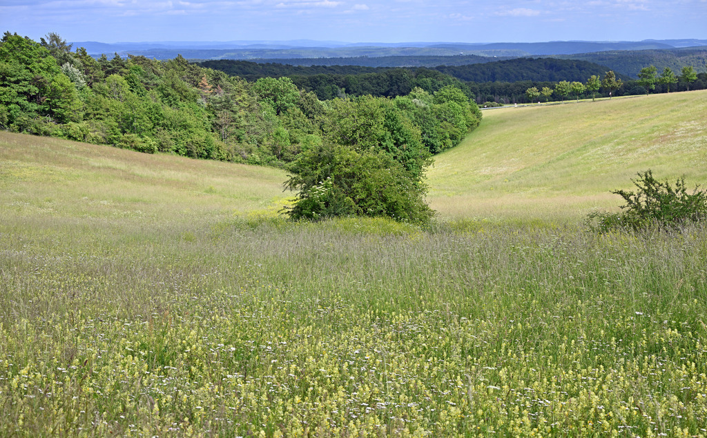 LandschaftGeba01p | lucisnaturbilder - Realisiert mit Pictrs.com