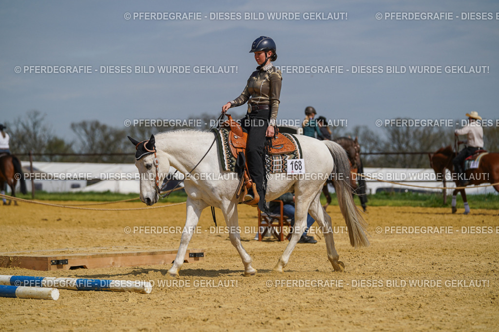 DSC04774 | Pferdegrafie