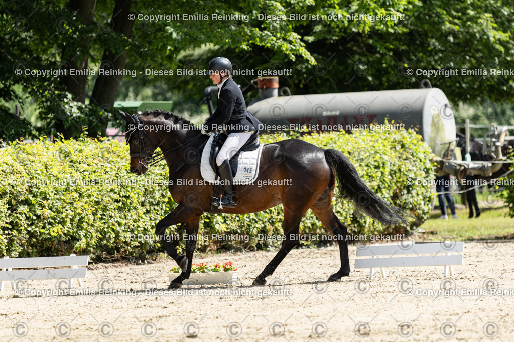 CL5A8000 | Emilia Reinking Fotografie - Realisiert mit Pictrs.com