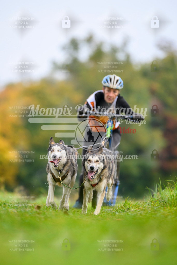 MompixPhotography_CDLBDB2025_DI_DS-19 | PayLife