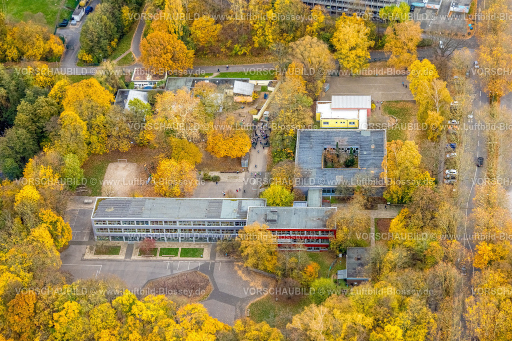 Hagen251101403 | Luftbild, Meinolfschule Städt. Kath. Grundschule und Kindertagesstätte Ischeland, herbstliche Bäume, Altenhagen, Hagen, Ruhrgebiet, Nordrhein-Westfalen, Deutschland