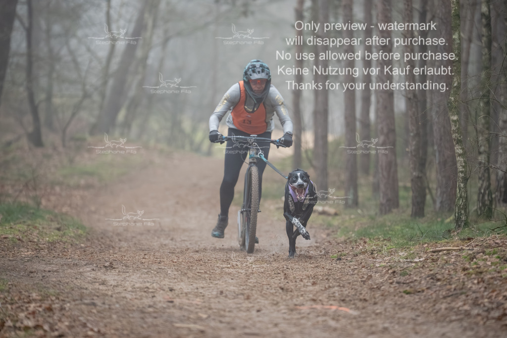 Scooter1-52 | stephaniefillaphotographie - Realisiert mit Pictrs.com