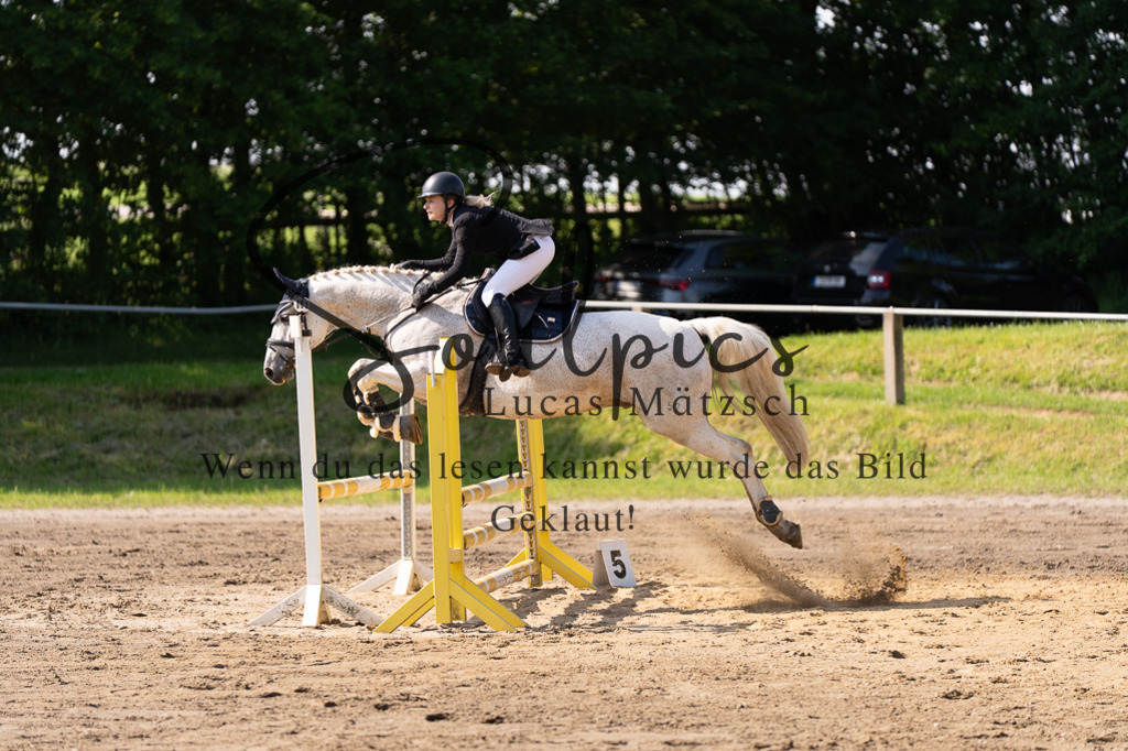 A7507302 | Turnier/Reitfotograf