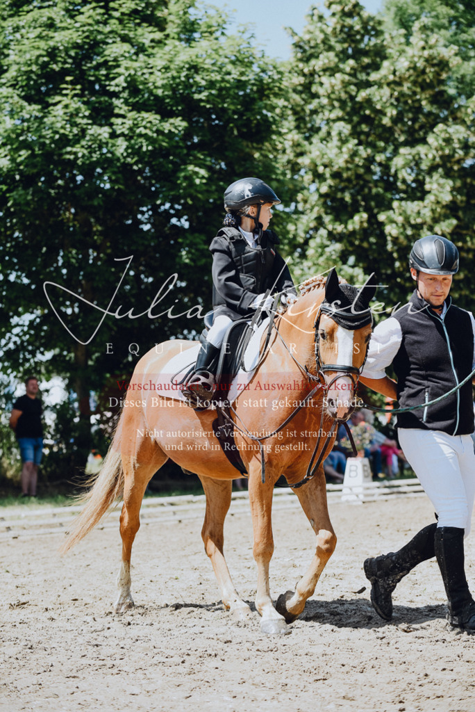 DSC_2541 | Pferde- und Turnierfotografie in Westsachsen. Pferdeportraits, Auftragszeichnungen und intuitive Kunst.