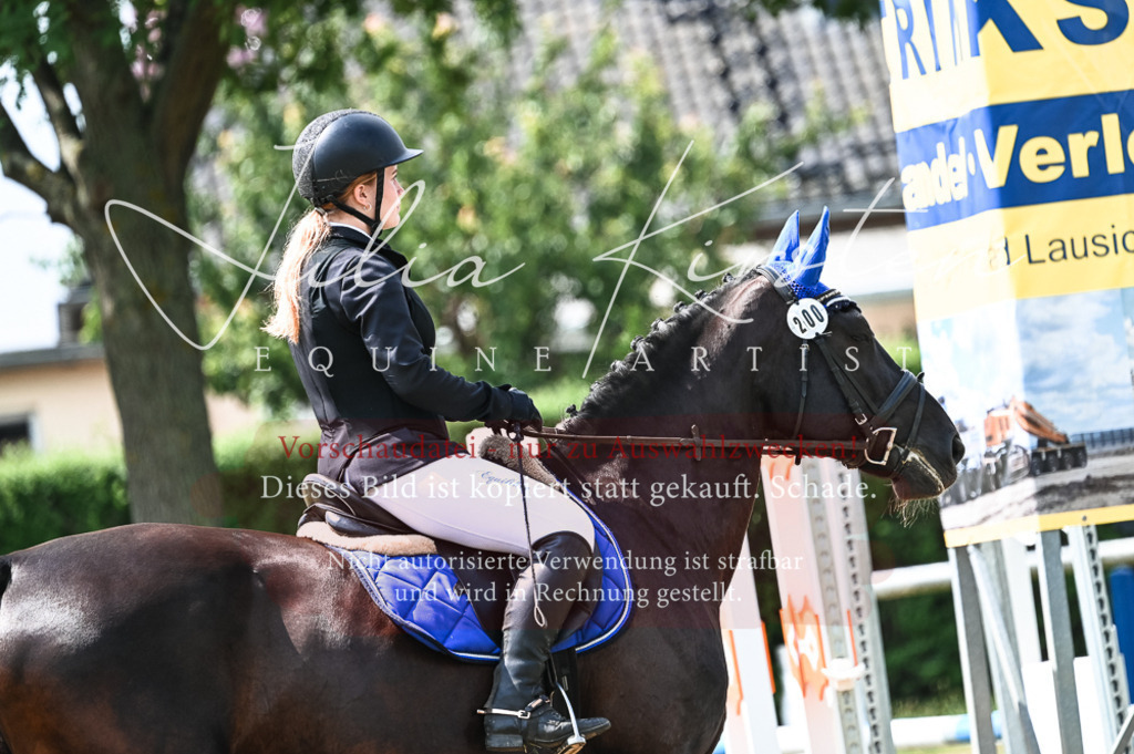 DSC_9191 | Pferde- und Turnierfotografie in Westsachsen. Pferdeportraits, Auftragszeichnungen und intuitive Kunst.