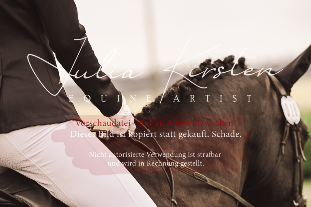 DSC_5084 | Pferde- und Turnierfotografie in Westsachsen. Pferdeportraits, Auftragszeichnungen und intuitive Kunst.