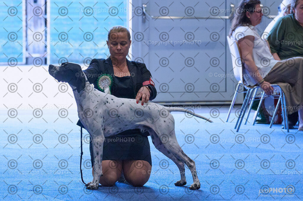 202406_ÖKV-IHA-Tulln24_DSC_4086 | proPHOTO - Realisiert mit Pictrs.com