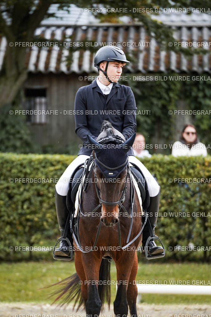 DSC04937 | Pferdegrafie