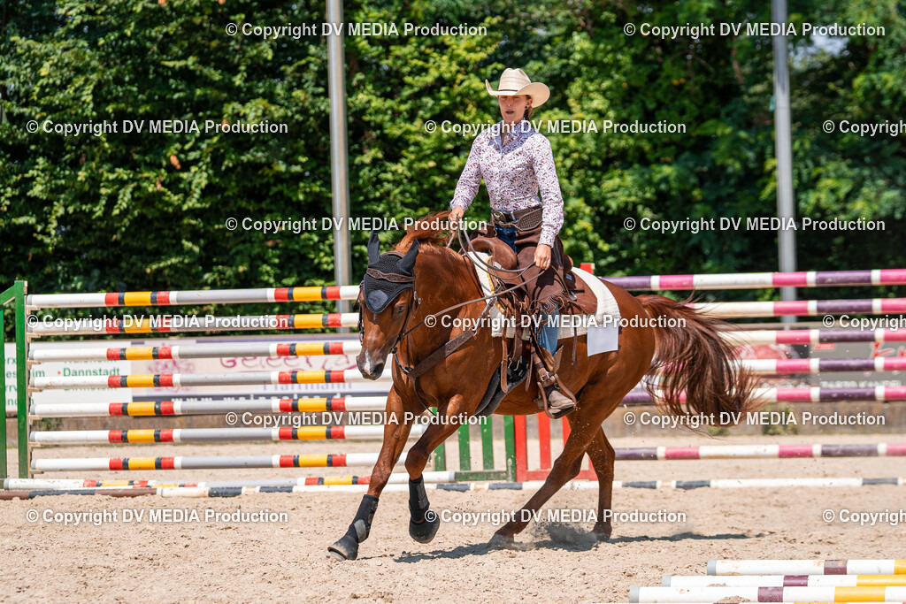 Zeiskam Tag 1-545 | dv-media-shop - Realisiert mit Pictrs.com